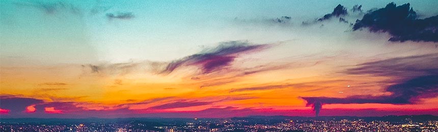 诸城茶虫网_诸城品茶